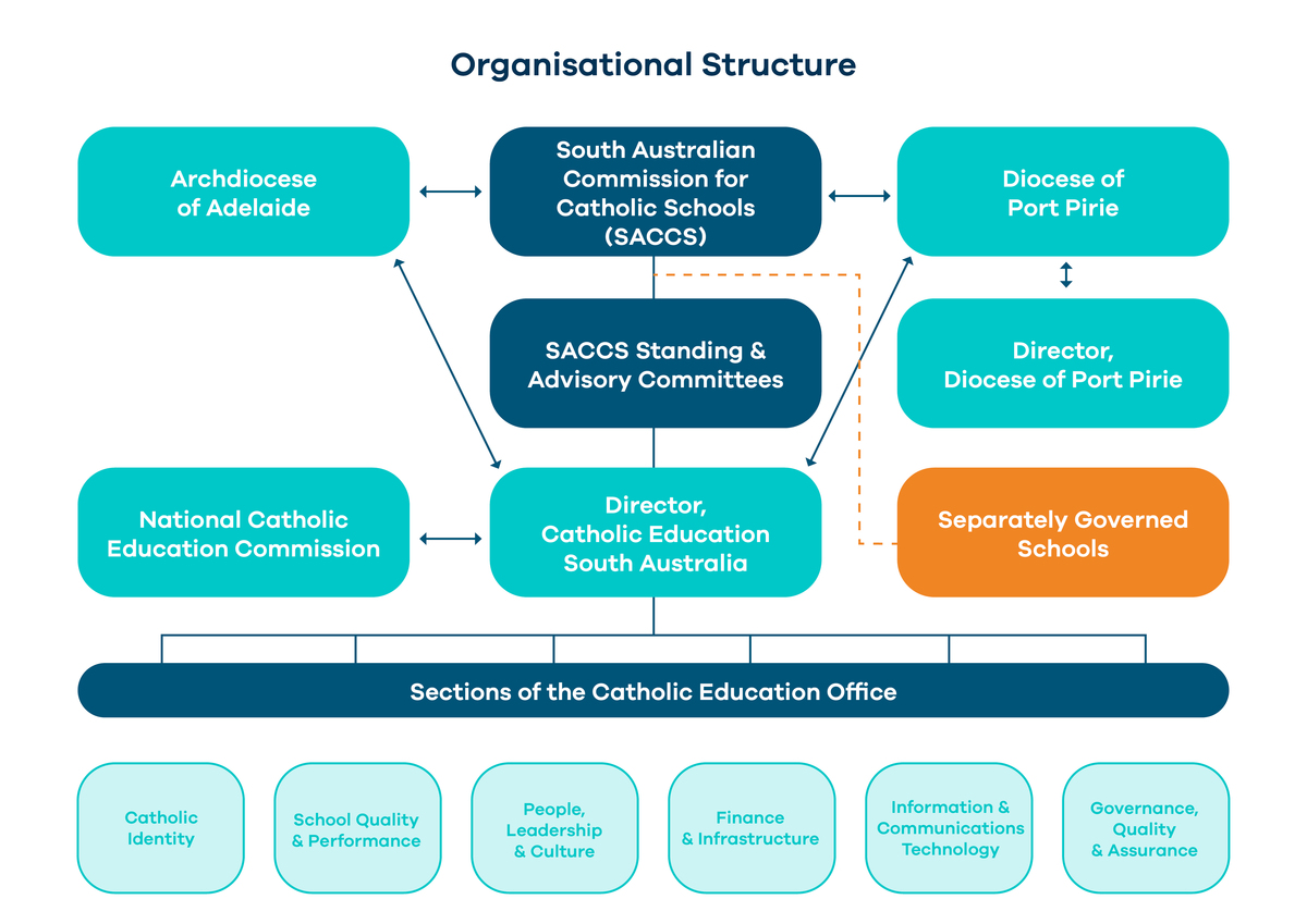 Annual Report | Organisational Structure | CESA